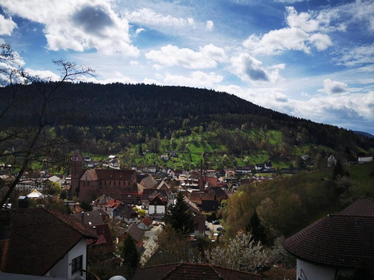 Miu'S Ferienwohnung Alpirsbach Buitenkant foto